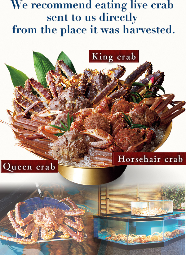 We recommend eating live crab sent to us directly from the place it was harvested.